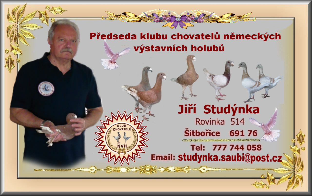 Studýnka_J.